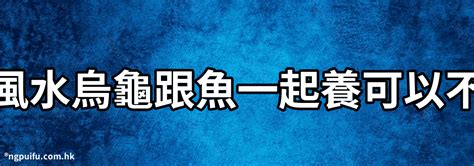 烏龜可以 只養一隻 嗎|漁農自然護理署